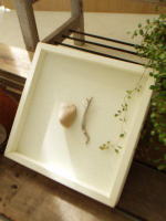 ネイチャーアートフレーム